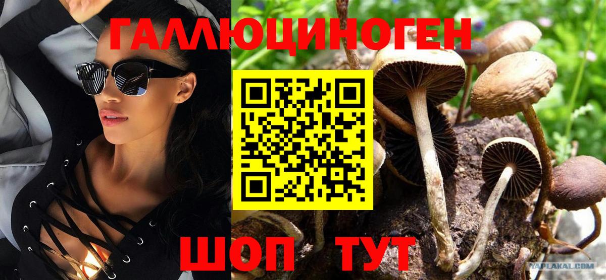 Касимов  наркошоп  Галлюциногенные грибы Psilocybe  Вход с VPN  Галлюциногенные грибы прущие грибы 